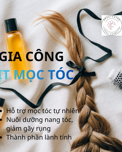 Gia công xịt mọc tóc